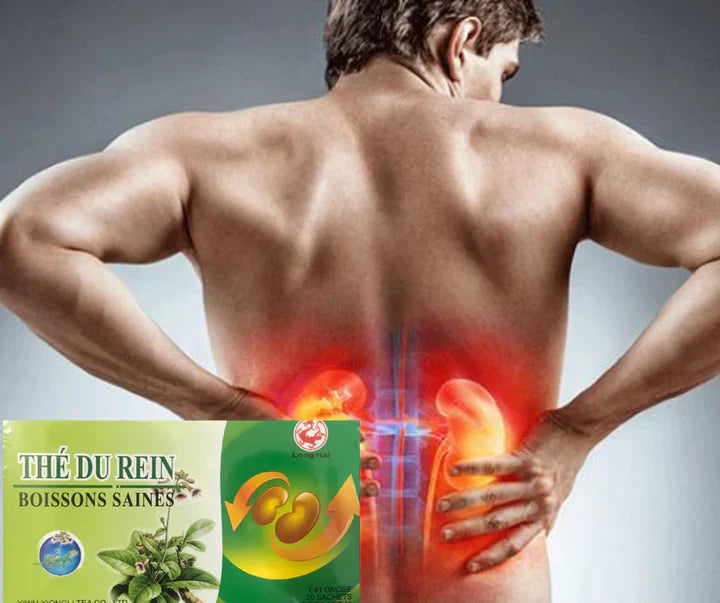 THÉ POUR LA BONNE SANTÉ DES REINS
